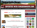 screenshot of Tamarindo Beach Costa Rica Info and News Portal