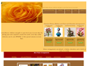 screenshot of Flowers to Costa Roca Online