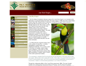 screenshot of Pax Natura Foundation - Preserve Costa Rica's Rain Forest