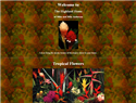screenshot ofHighland Heliconia - Finest quality Tropical Flowers -  Exporters Growers