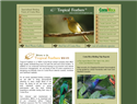 screenshot of Costa Rica Birding Tours - Tropical Feathers
