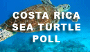 Sea Turtle Poll