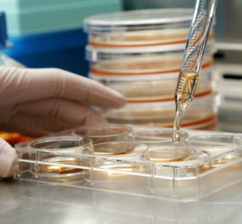 Americans Heading To Costa Rica For Stem Cell Treatments