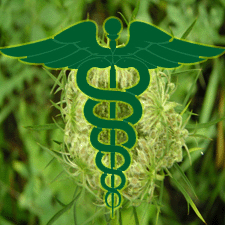 Costa Rica Alternative Medical – Herbal Medicine, Holistic and Fraud