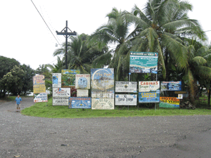 Puerto Jimenez – Osa Peninsula – Costa Rica