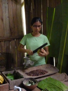 Costa Rica Chocolate – Cacao House