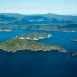 Tortuga Island From Jaco