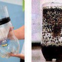 Simple Mosquito Trap To Help Guard Against Dengue Fever