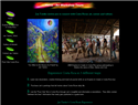 screenshot of Costa Rica Art and Workshop Tours